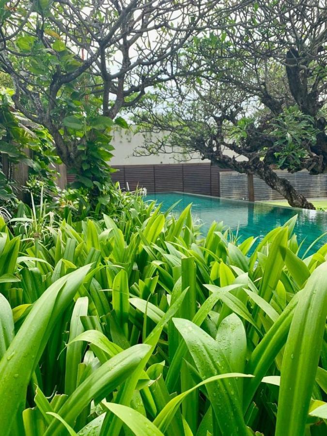 Ziva A Residence Seminyak Extérieur photo